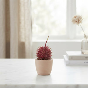 Red Waxflower Decoration