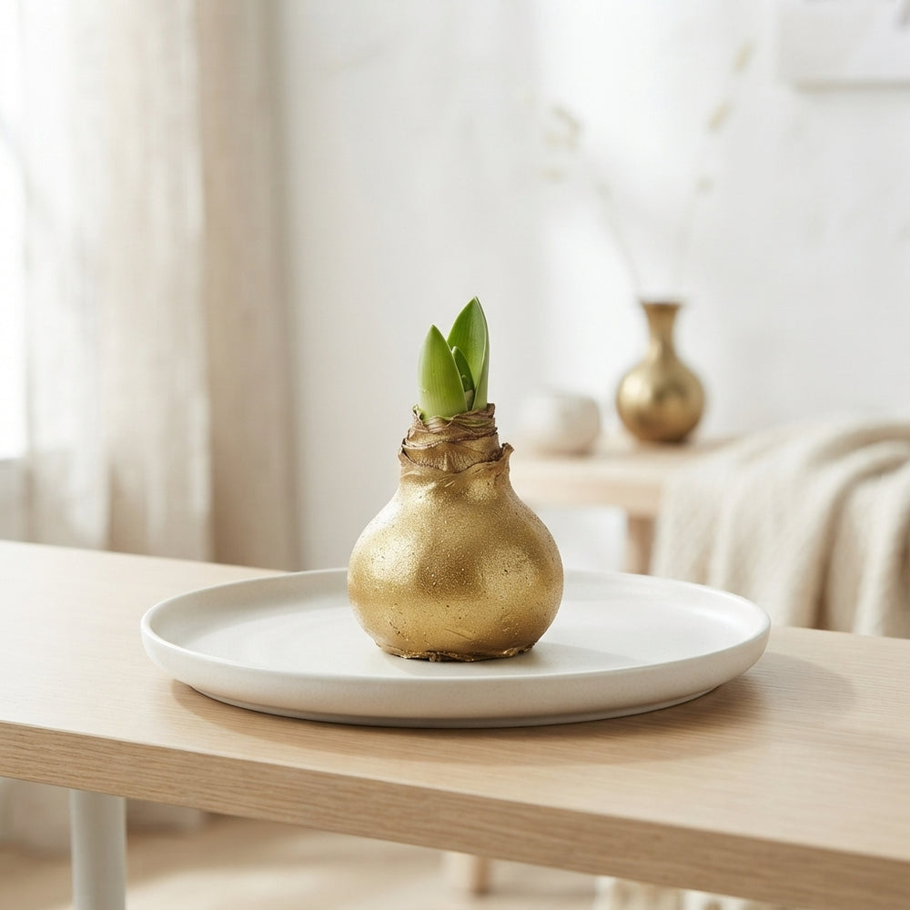 Gold Wax Hyacinth Christmas Decoration