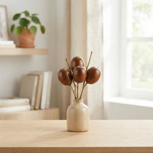 Decorative Cucumis Ornamental Fruit
