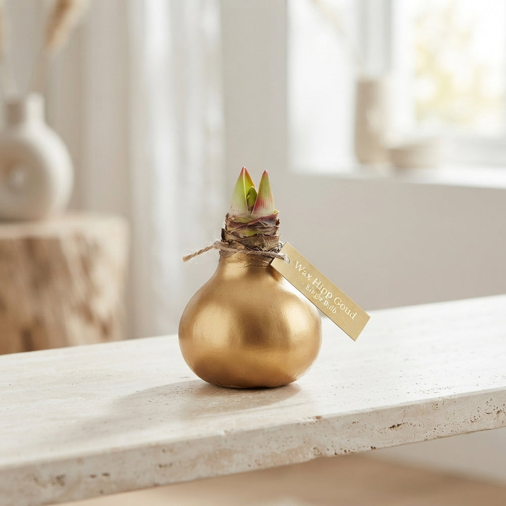 Gold Waxed Hipp Grass Decoration – 20cm