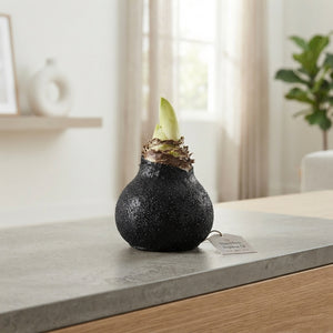 Black Wax Decorative Christmas Tree – 20cm