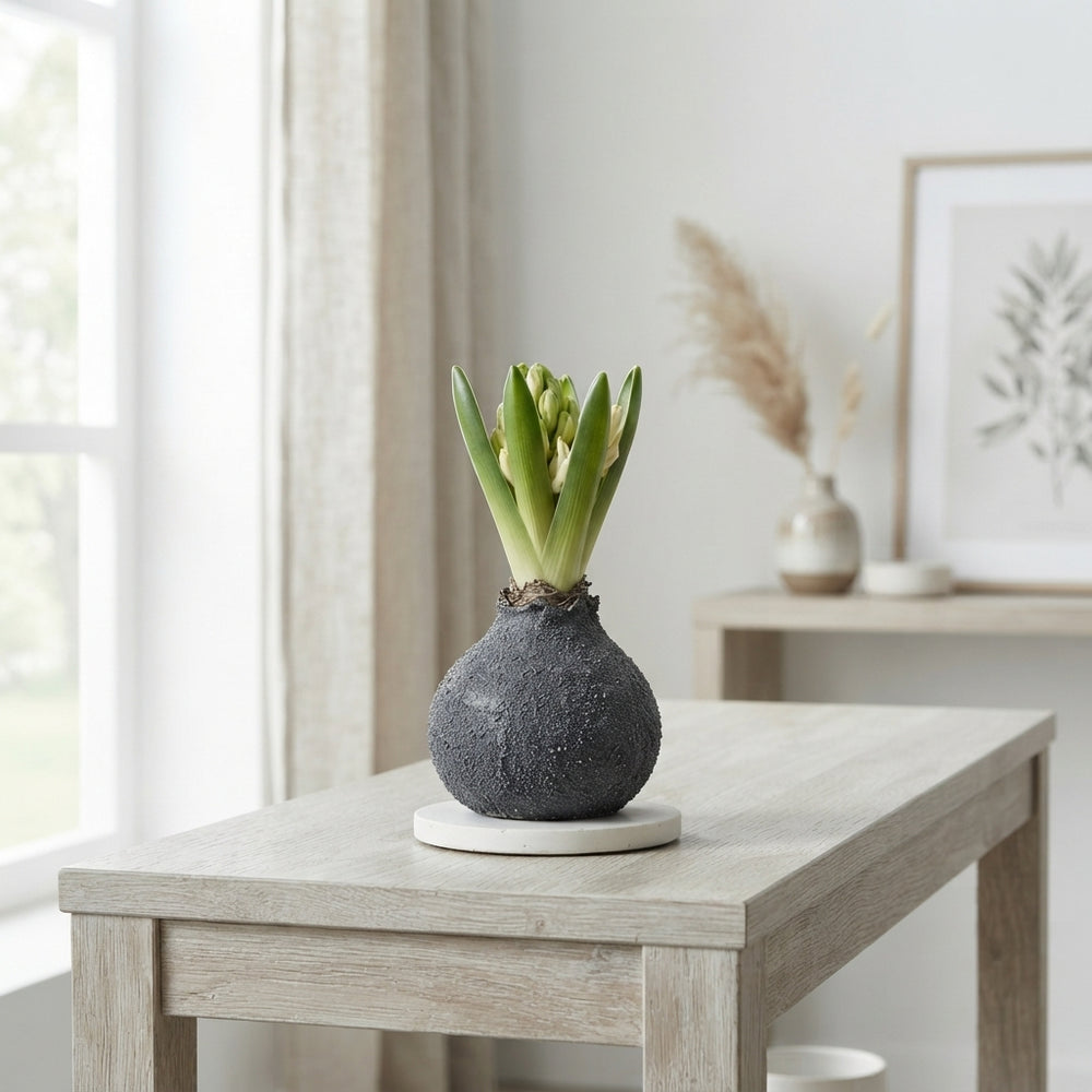 Grey Waxed Decorative Branches – 20cm