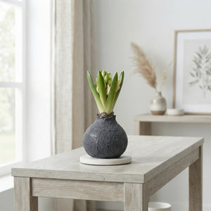 Grey Waxed Decorative Branches – 20cm