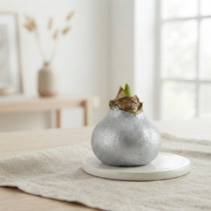 Silver Wax Hyacinth Christmas Decoration – 20cm