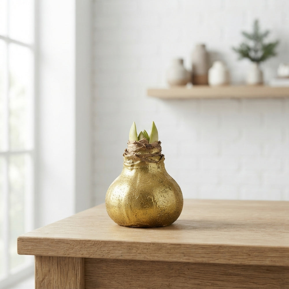 Gold Wax Hippeastrum Decoration – 20cm