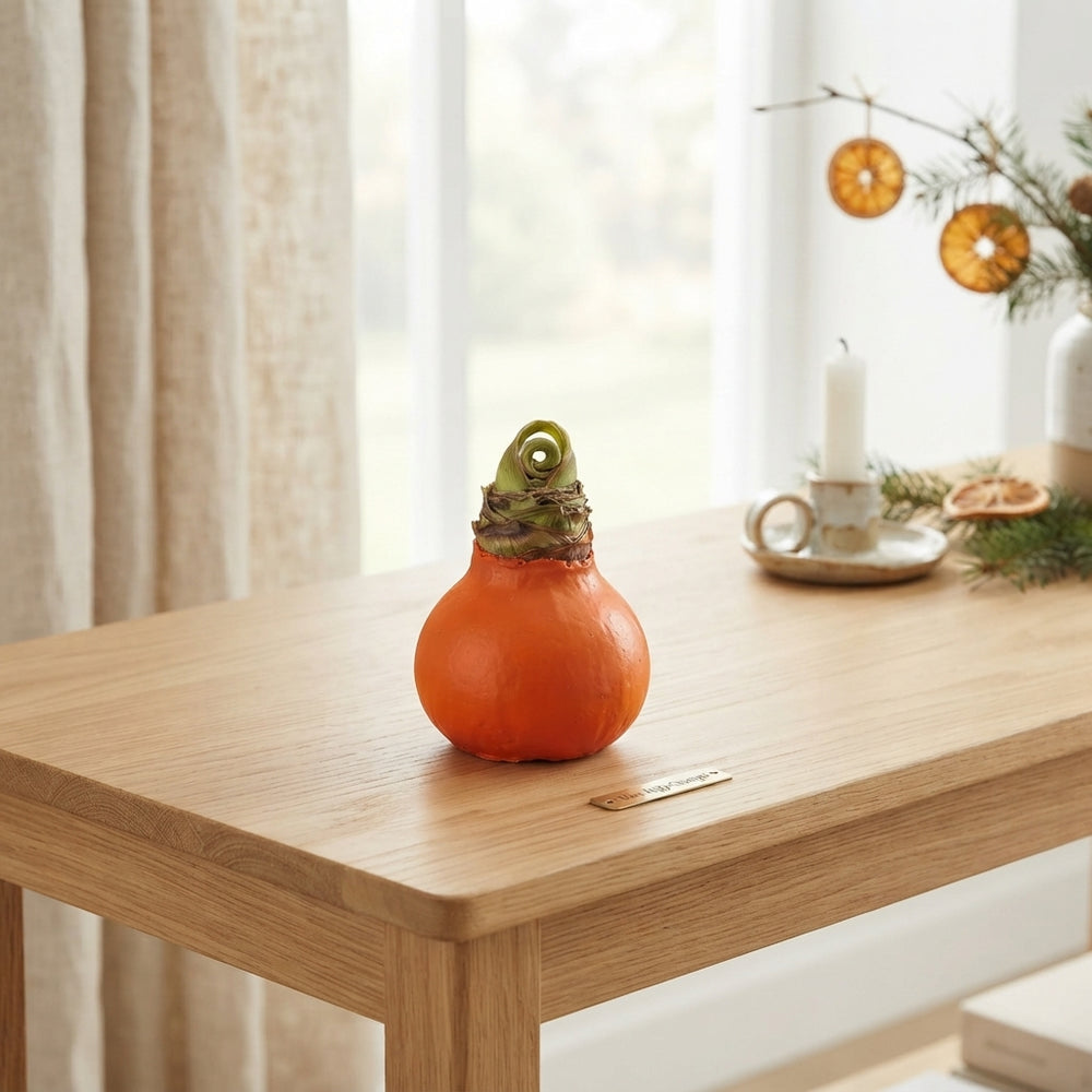 Orange Waxed Hipped Decoration