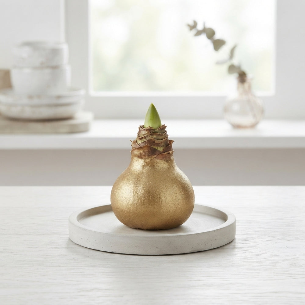 Gold Waxed Decorative Branches – 20cm