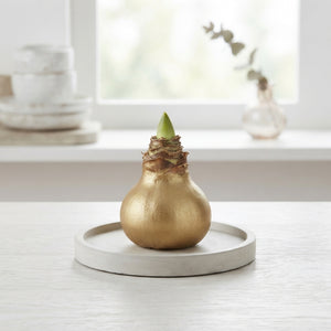 Gold Waxed Decorative Branches – 20cm