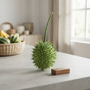 Ornamental Cucumis Egel – Green Decorative Fruit