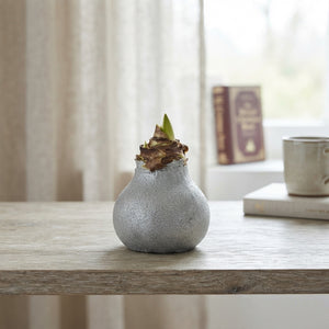 Grey Wax Hyacinth Decoration – 20cm