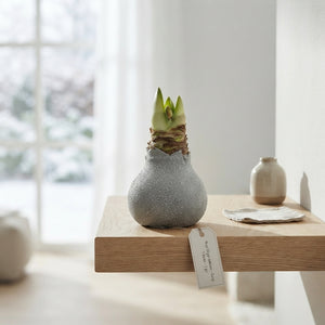 Grey Wax Hipp Gl Titaan Christmas Decoration