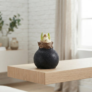 Black Wax Hipp Topiary Decoration – 20cm