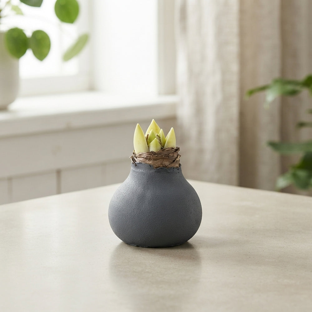 Grey Wax Hyacinth Decoration – 20cm