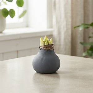 Grey Wax Hyacinth Decoration – 20cm