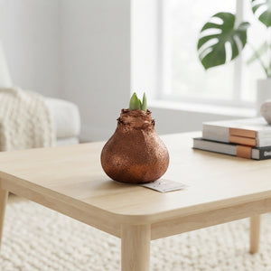 Copper Wax Hippeastrum Christmas Decoration