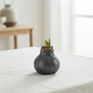 Black Wax Hippopotamus Decoration – 20cm