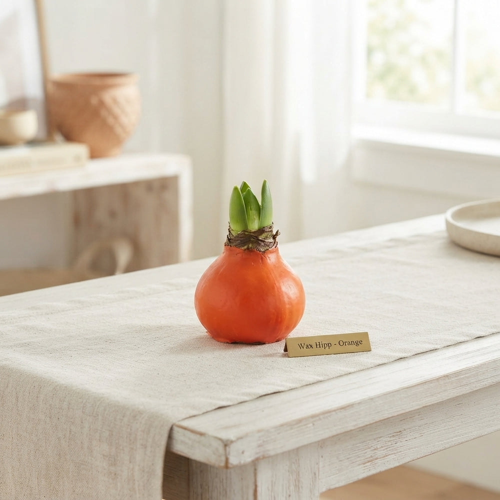 Orange Waxed Decorative Branches