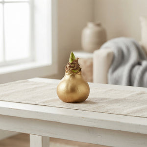 Gold Wax Hyacinth Decoration – 20cm