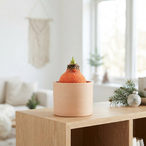Orange Waxflower Christmas Decoration