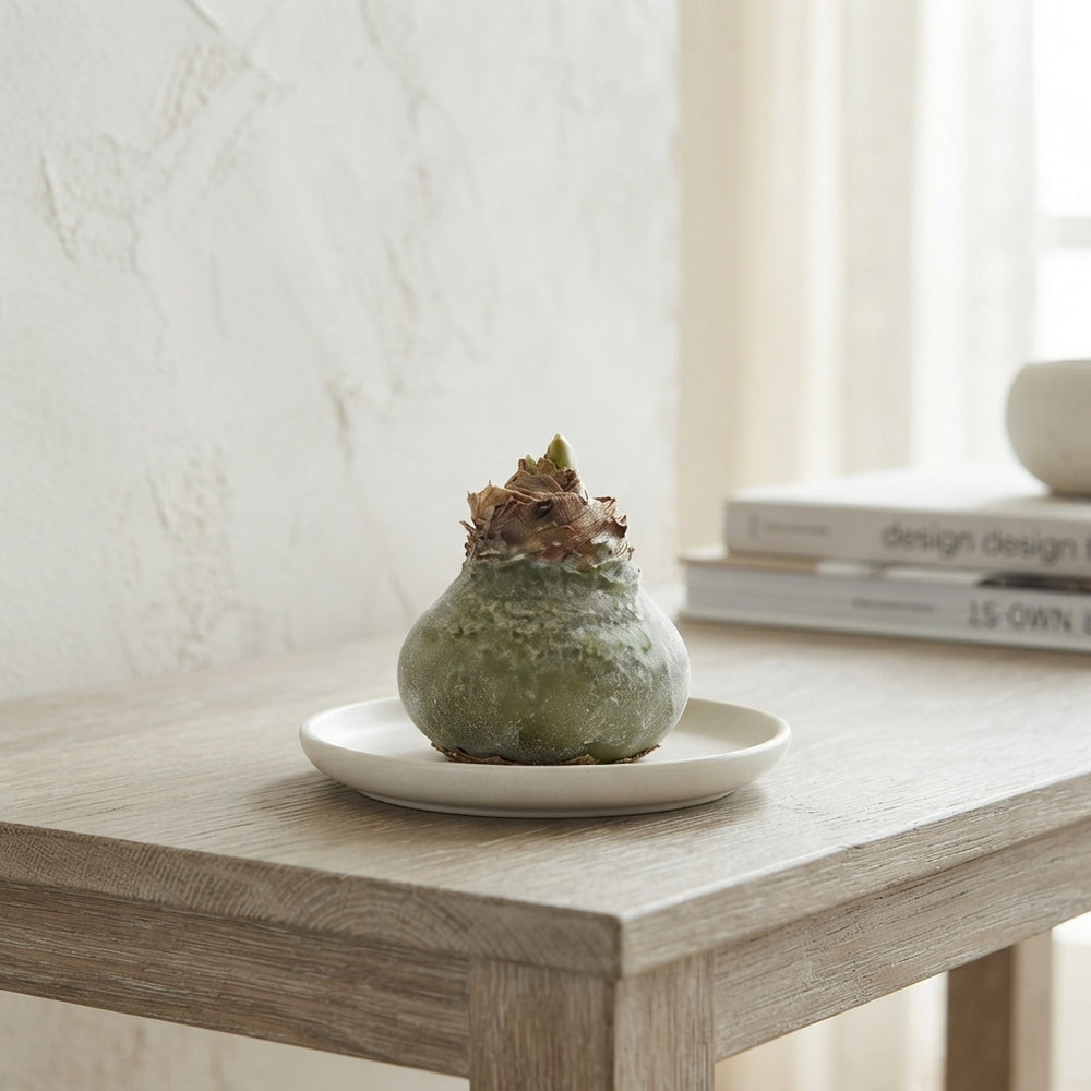 Olive Green Wax Christmas Decoration