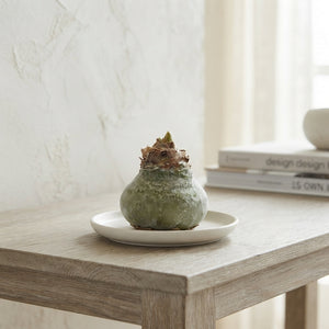 Olive Green Wax Christmas Decoration