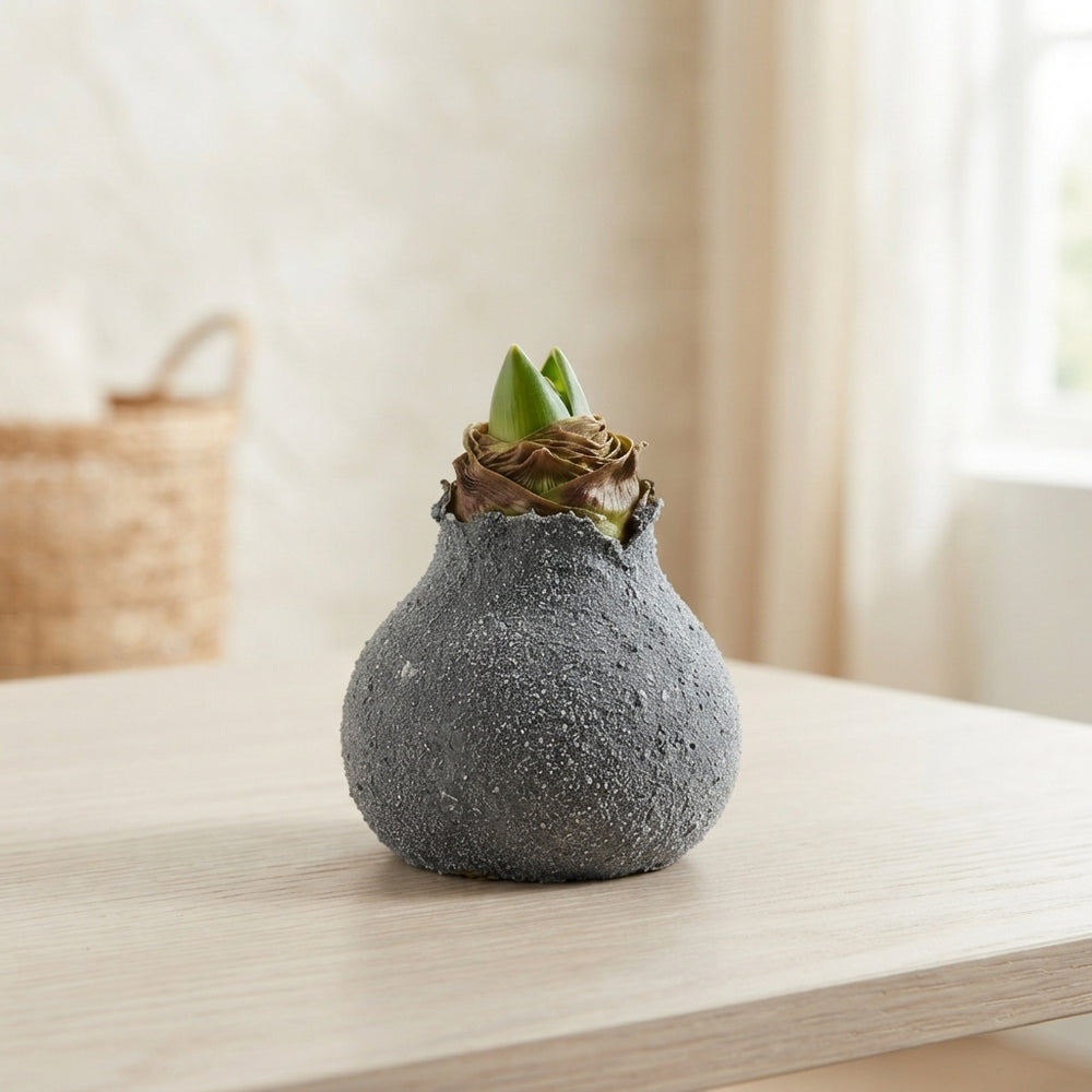 Grey Wax Hipp Titaan Decoration – 20cm