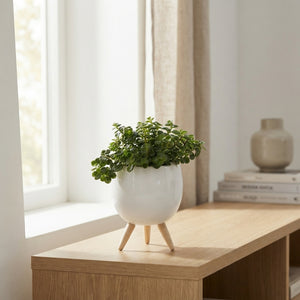 Mixed Green Grass Arrangement in Milano Ceramic Pot
