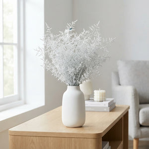 White Wax Asparagus Plant