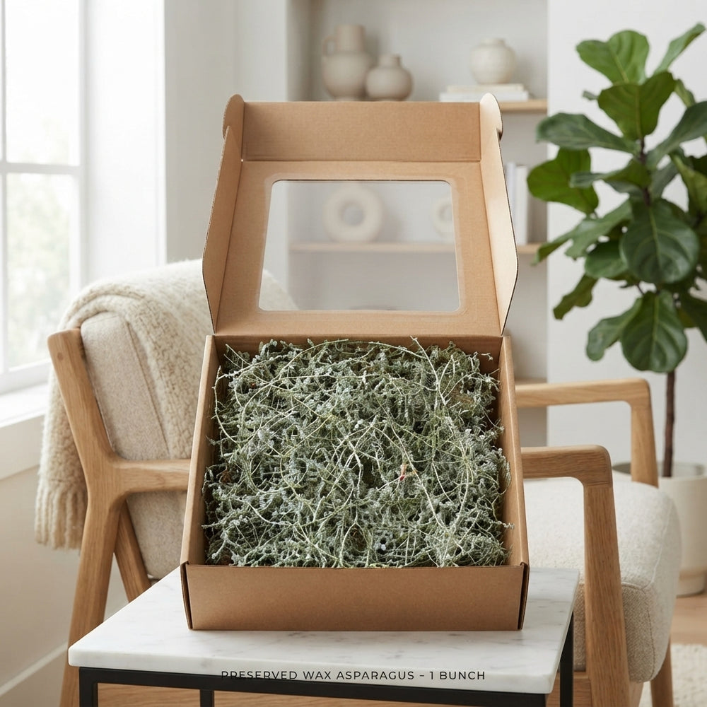 Green Wax Asparagus – Cut Foliage