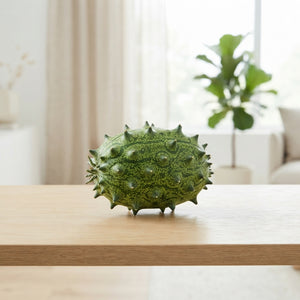 Decorative Green Kiwano Fruit