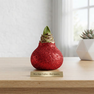 Mixed Colour Wax Hyacinth Decoration – 20cm