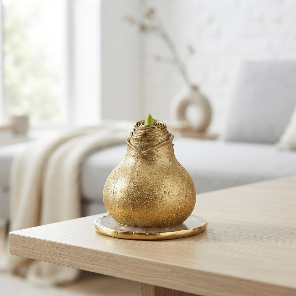 Gold Wax Hyacinth Christmas Decoration