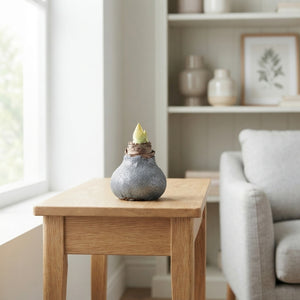 Grey Waxed Eucalyptus Decoration – 20cm