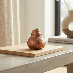 Copper Wax Hippeastrum Decoration – 20cm