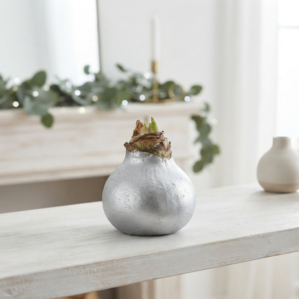 Silver Waxed Hyacinth Bulb Decoration – 20cm