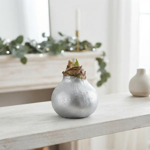Silver Waxed Hyacinth Bulb Decoration – 20cm