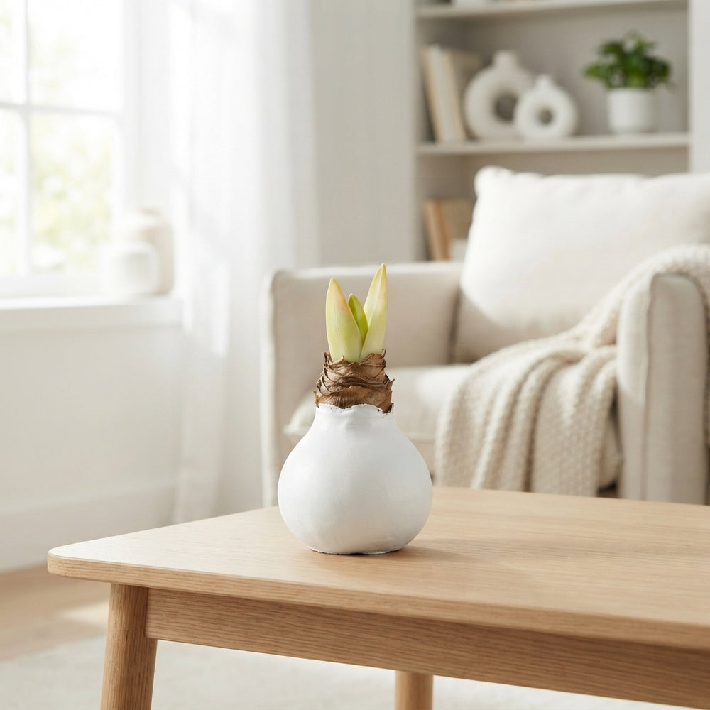 White Waxflower Decorative Stems
