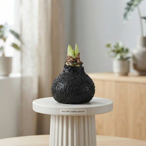 Black Natural Wax Candle Holder Decoration – 20cm