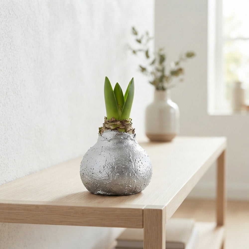 Silver Wax Hyacinth Decoration – 20cm
