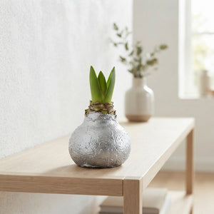 Silver Wax Hyacinth Decoration – 20cm