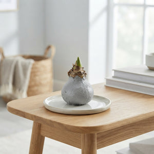 Grey Wax Hippopotamus Decoration – 20cm