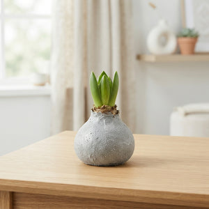 Grey Wax Hyacinth Glass Decoration – 20cm