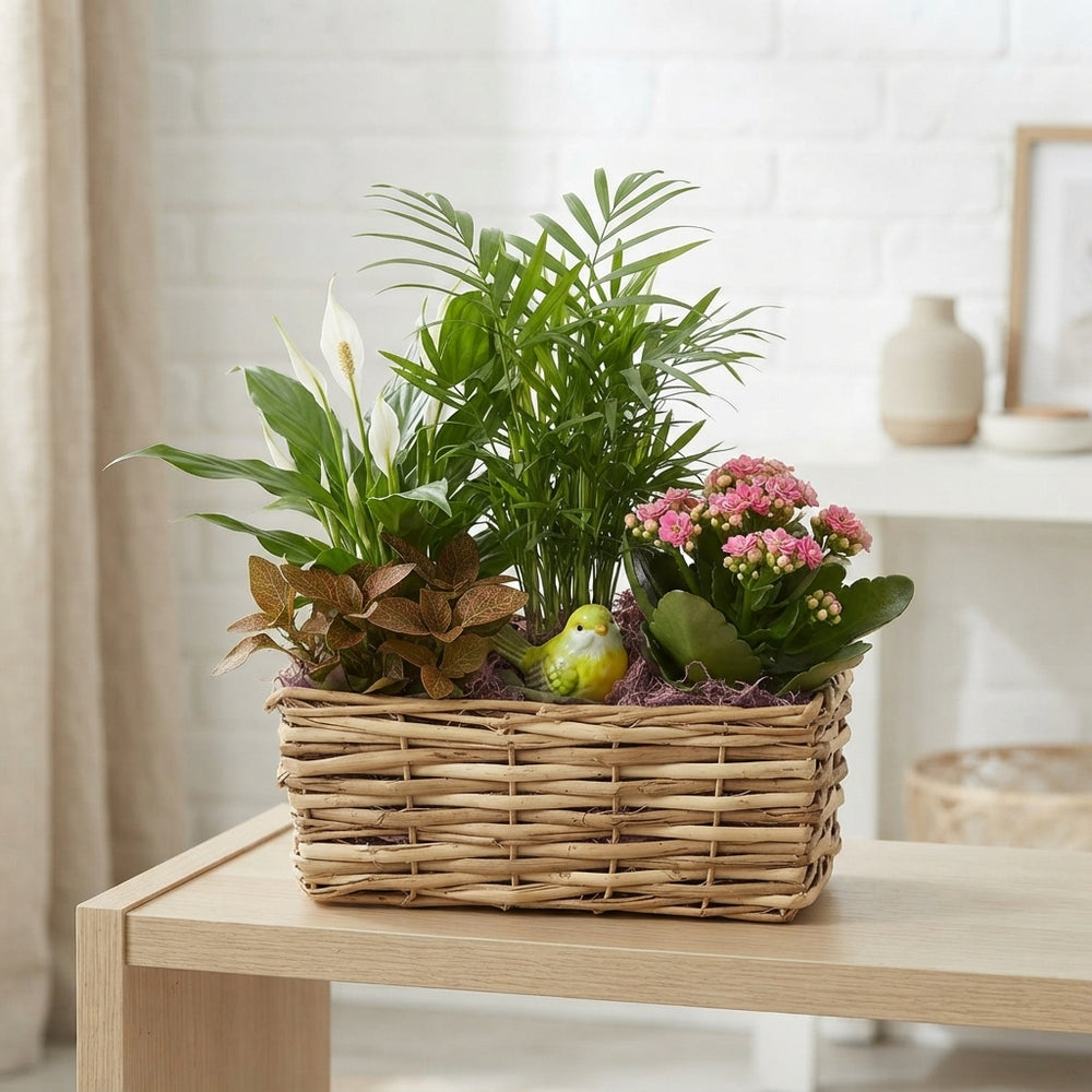 Two-Tone Mixed Colour Floral Arrangement