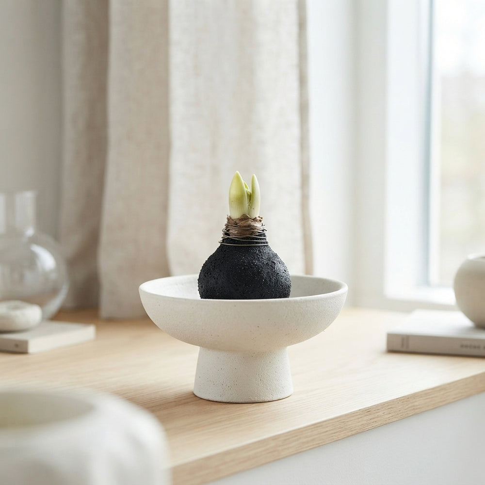 Black Wax Hipp Topiary Decoration – 20cm