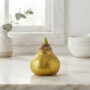 Mixed Waxed Hyacinth Decoration – 20cm