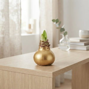 Gold Waxed Hyacinth Bulb Decoration – 20cm