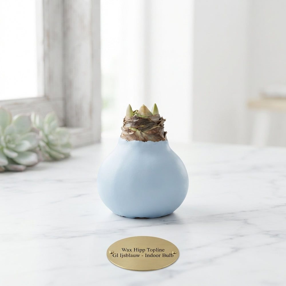 Pale Blue Wax Christmas Decoration – 20cm
