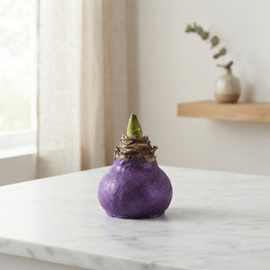 Lavender Wax Hyacinth Decoration – 20cm