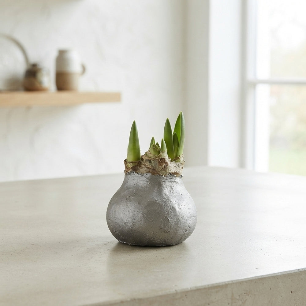 Grey Wax Hipp Topiary Decoration – 20cm