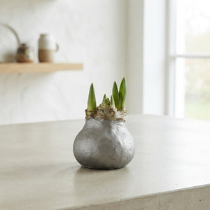 Grey Wax Hipp Topiary Decoration – 20cm